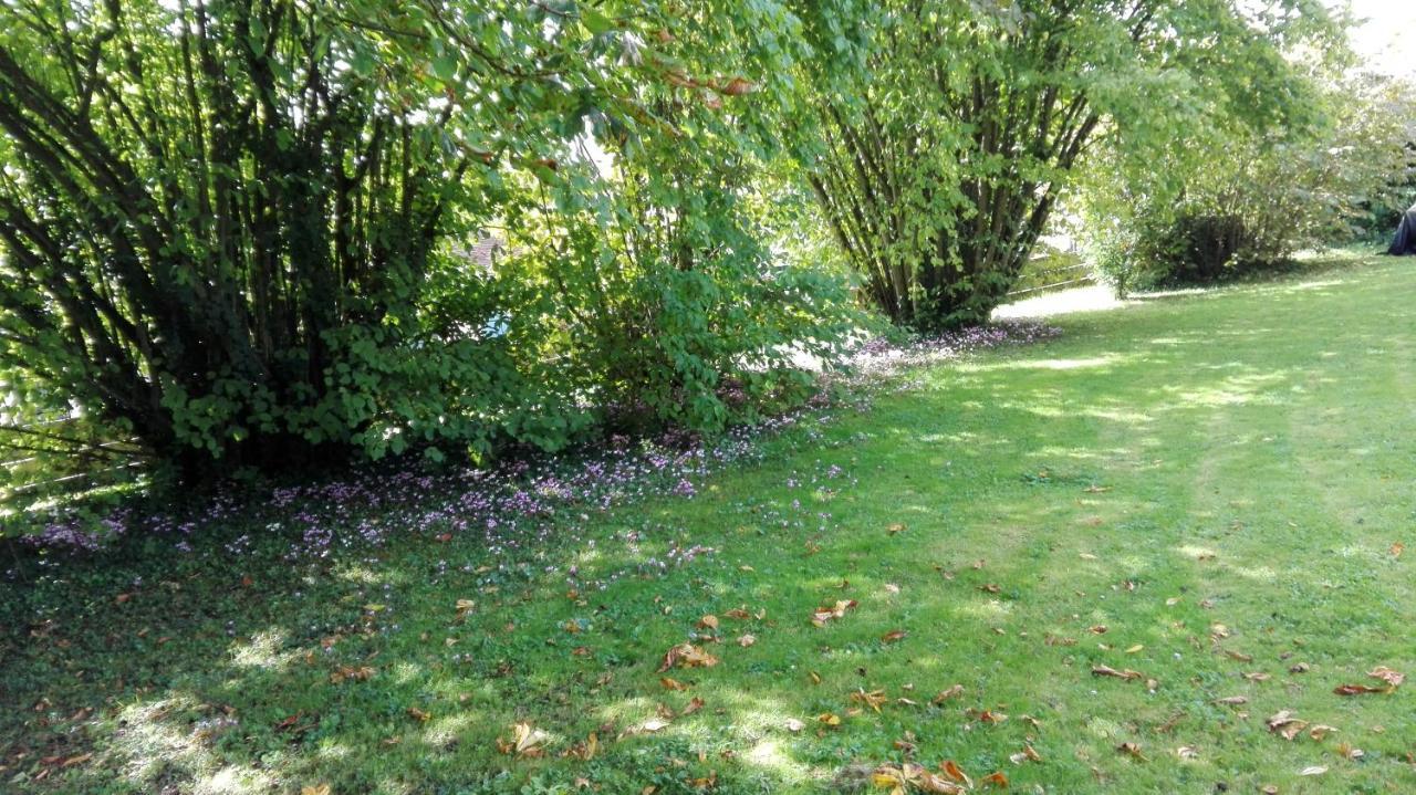 La Fruitiere Bed & Breakfast Beautheil-Saints Room photo